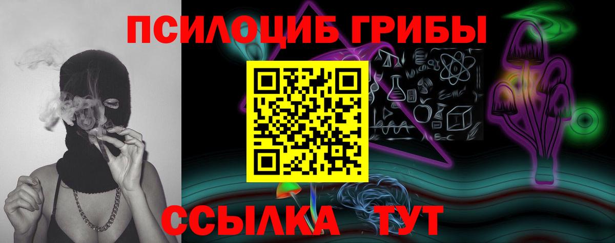 Галлюциногенные грибы GOLDEN TEACHER  Вход с VPN  Тулун 