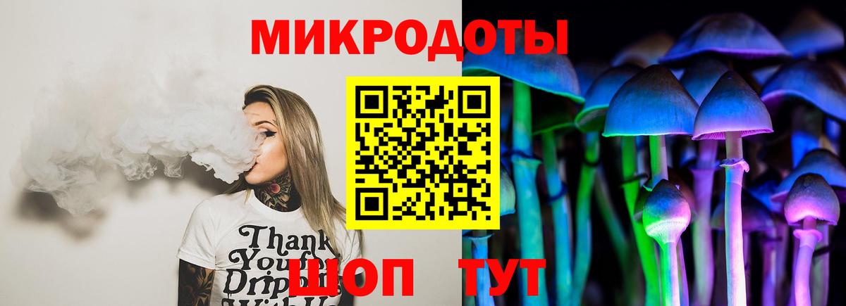 Псилоцибиновые грибы Psilocybe Тулун